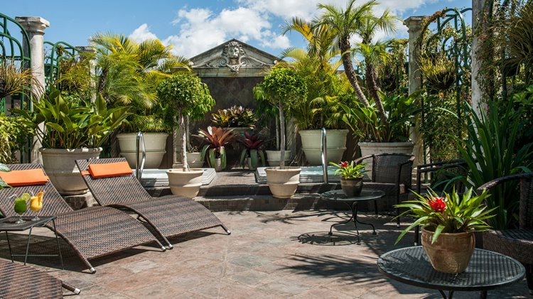 Grano de Oro en su destino