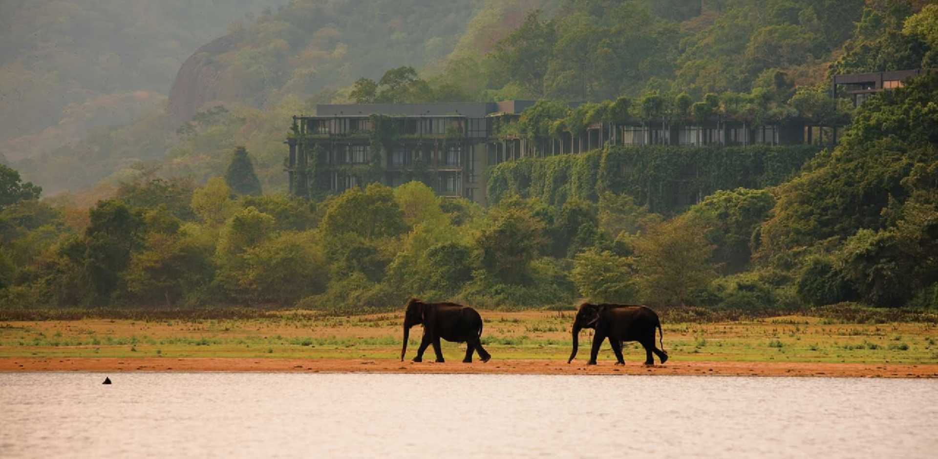 Exclusivo Sri Lanka, Singapur y Corea del Sur diseñado por LAT.40