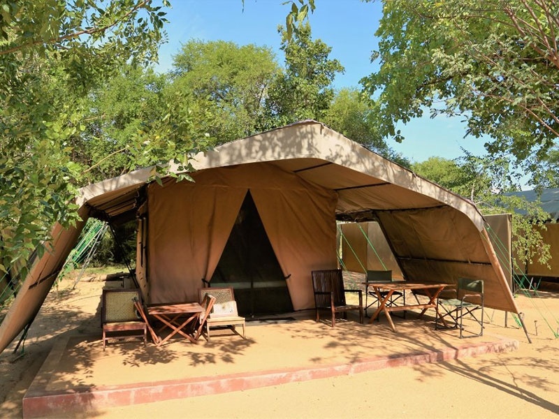 Tree Tops Jungle Lodge en Yala