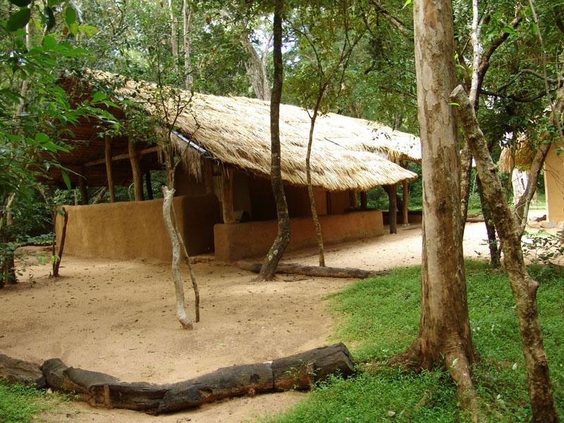 Tree Tops Jungle Lodge en Yala