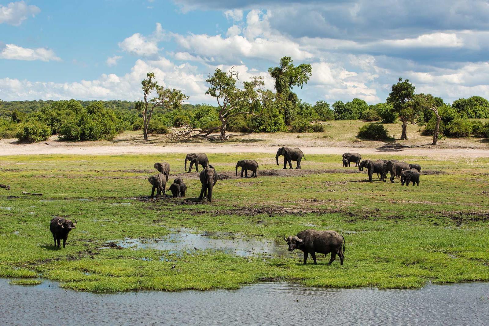 Tsowa Safari Island en Zambezi National Park