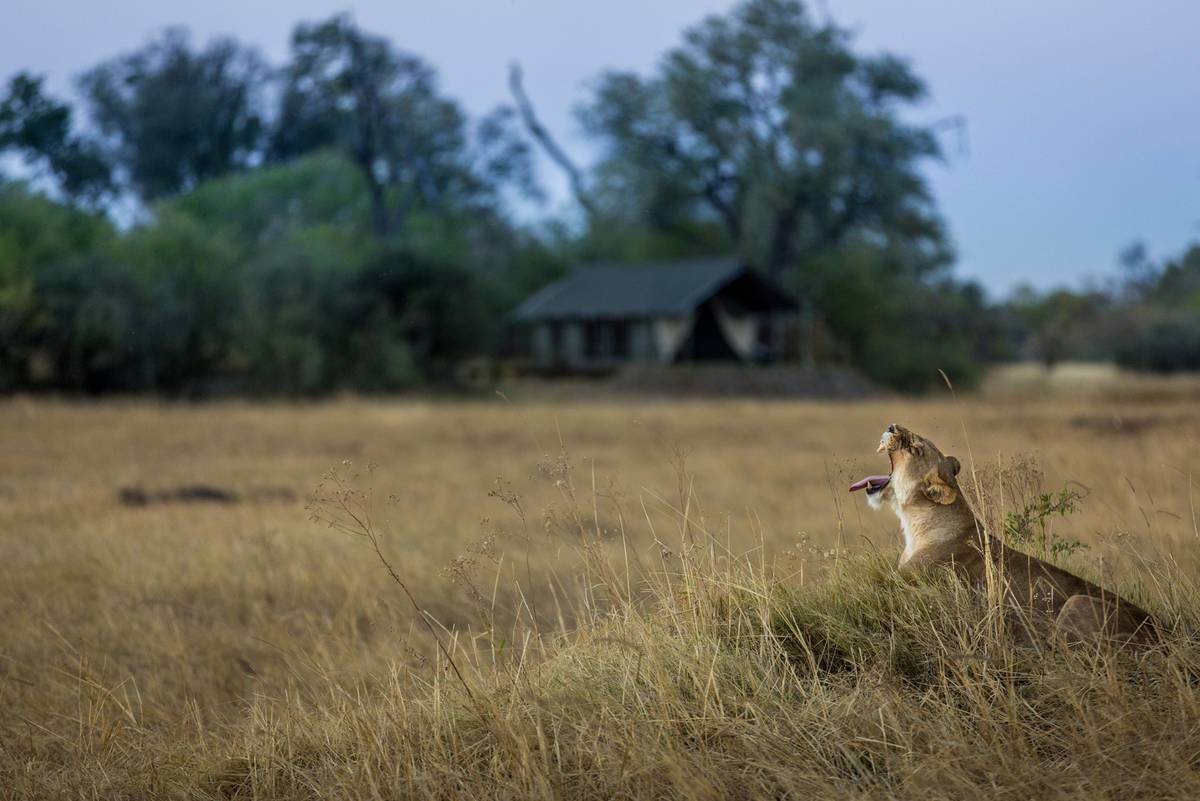 Deteema Springs en Hwange