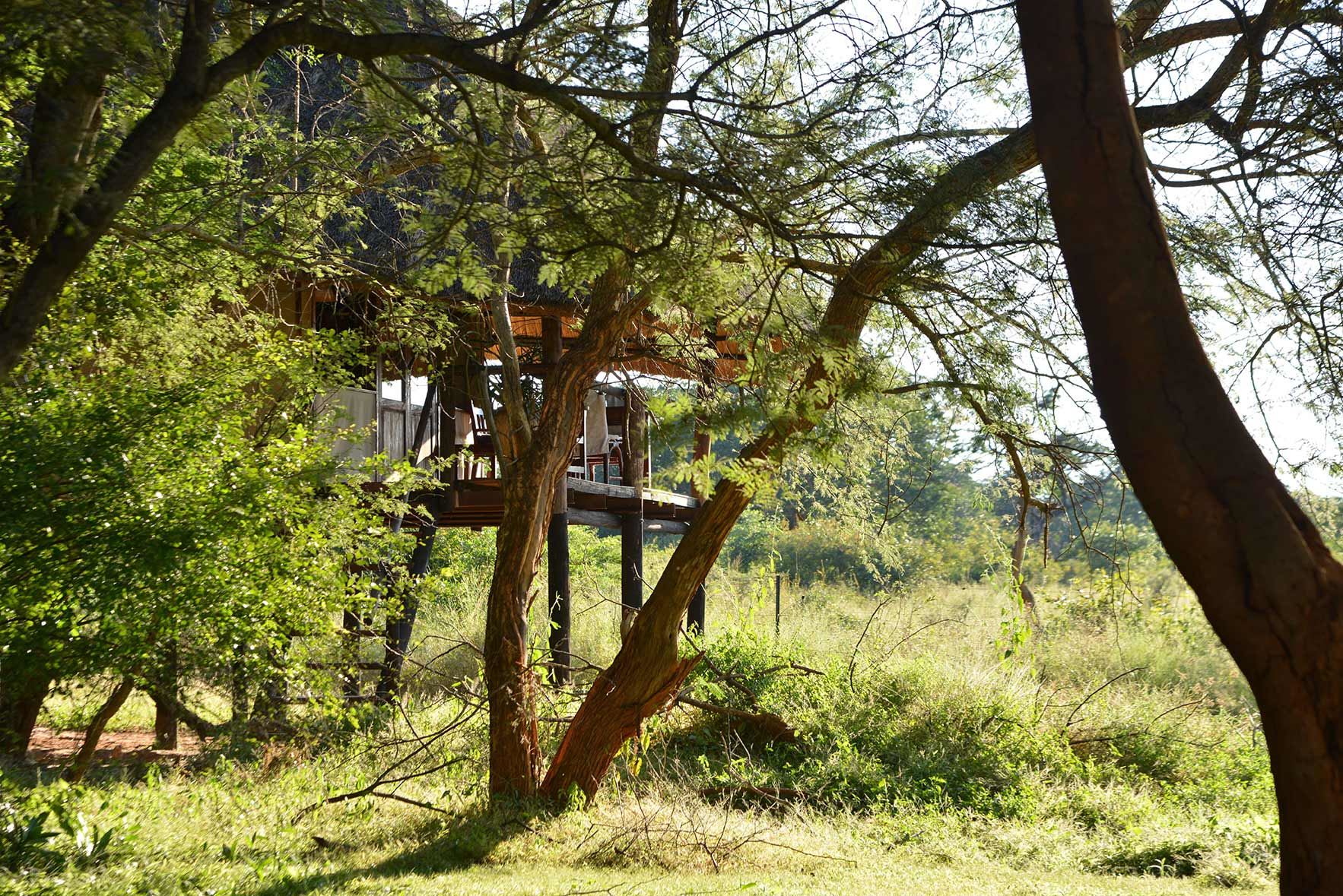 Ivory Safari Lodge en Hwange