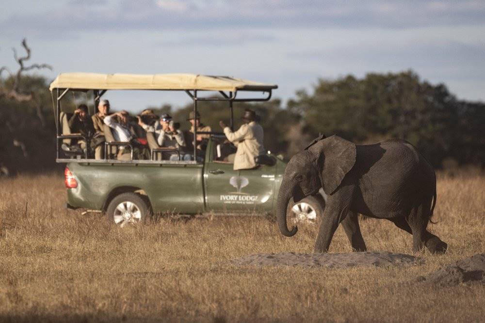 Khulu Bush Camp en Hwange