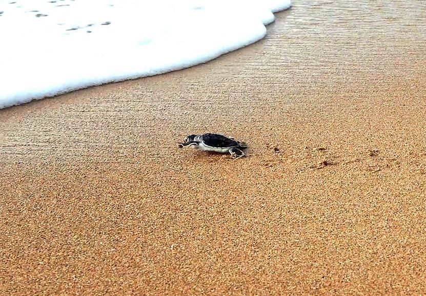 Forodhani House en Lamu