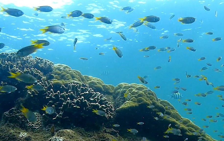 Forodhani House en Lamu