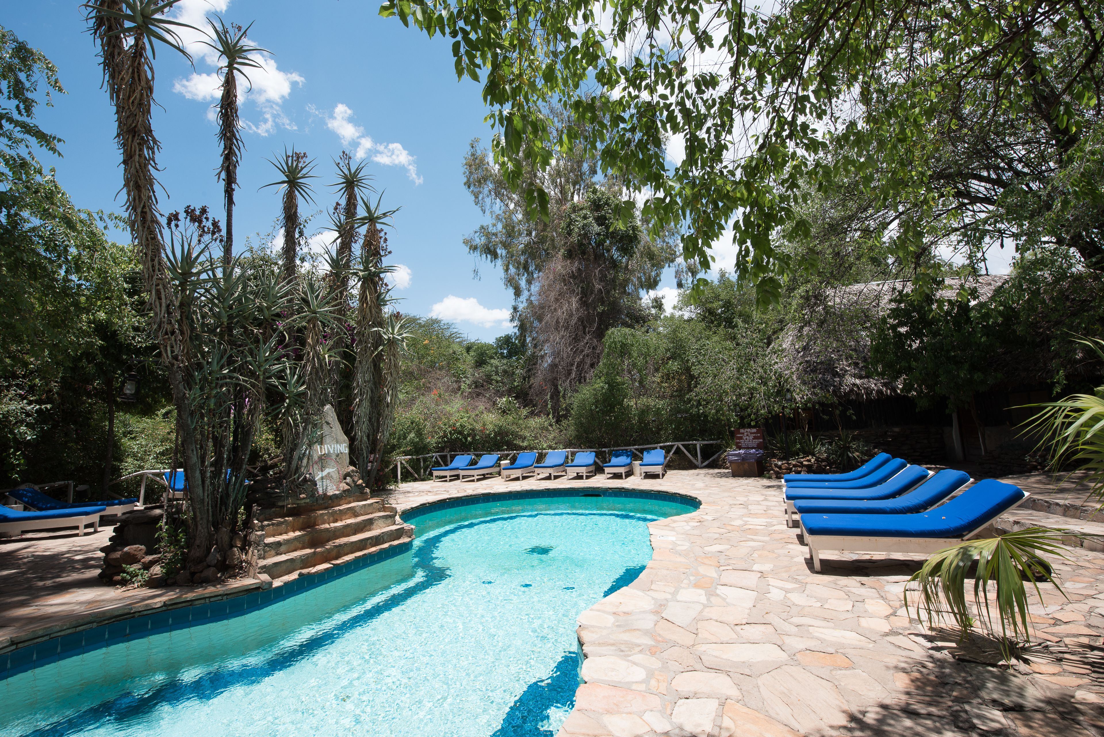 Fig Tree Camp en Masai Mara