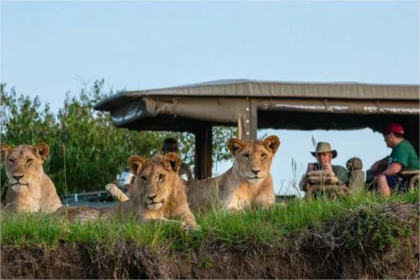 Mara Expedition Camp en Masai Mara