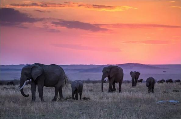 Mara Expedition Camp en Masai Mara