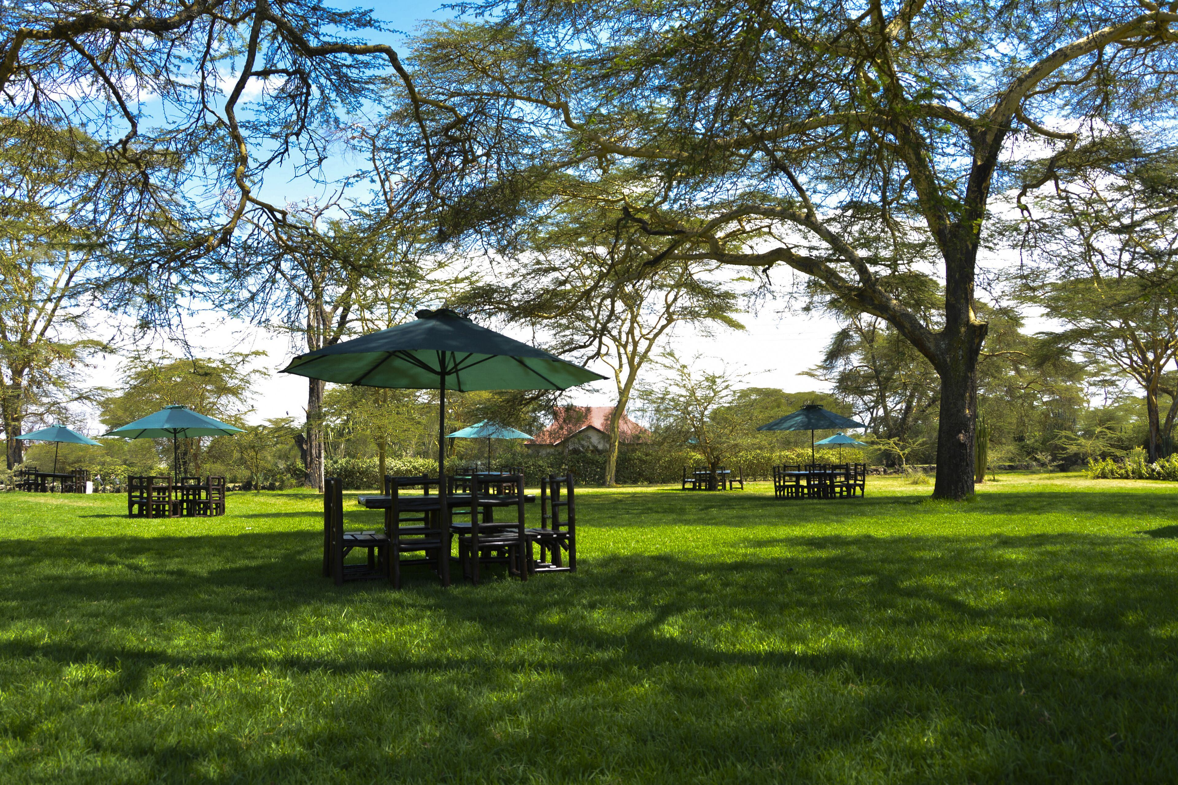 Sawela Lodge en Naivasha