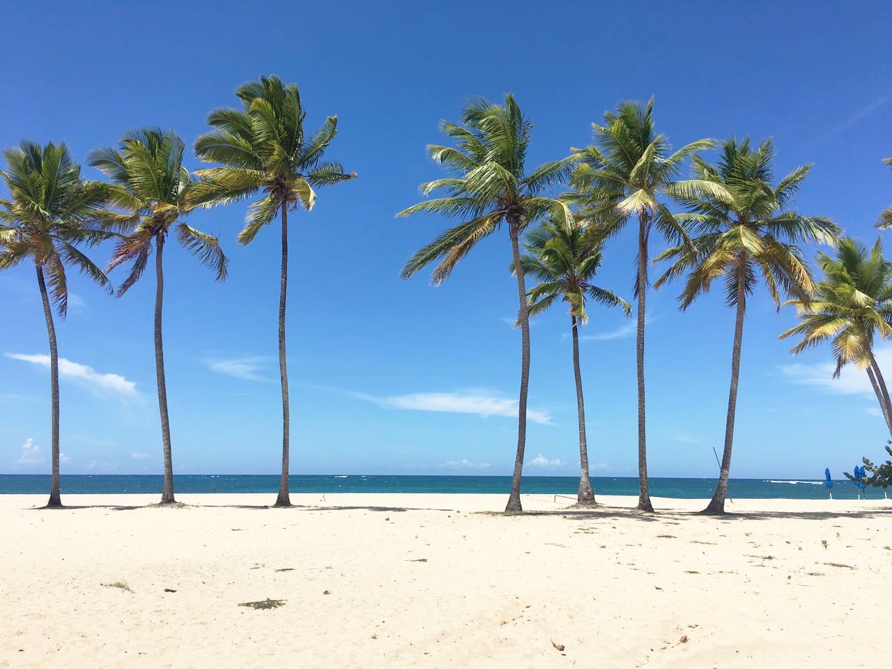 Emotions by Hodelpa Puerto Plata en Dominican Republic