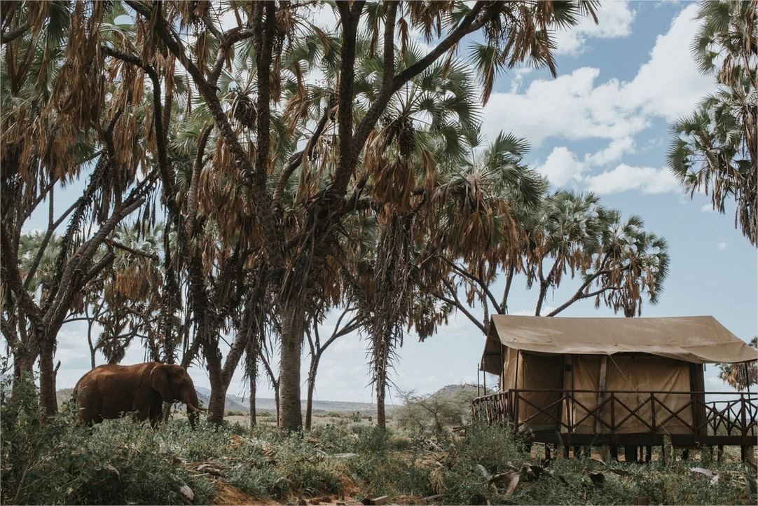 Elephant Bedroom Camp en su destino
