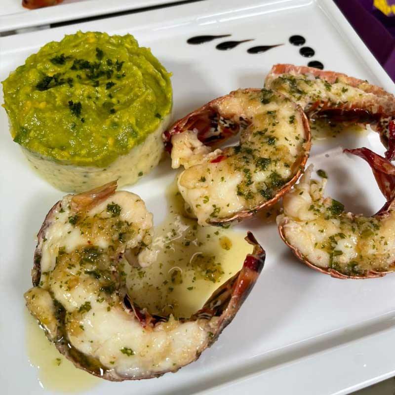 Dufour 50Ft 2021 en San Blas Islands