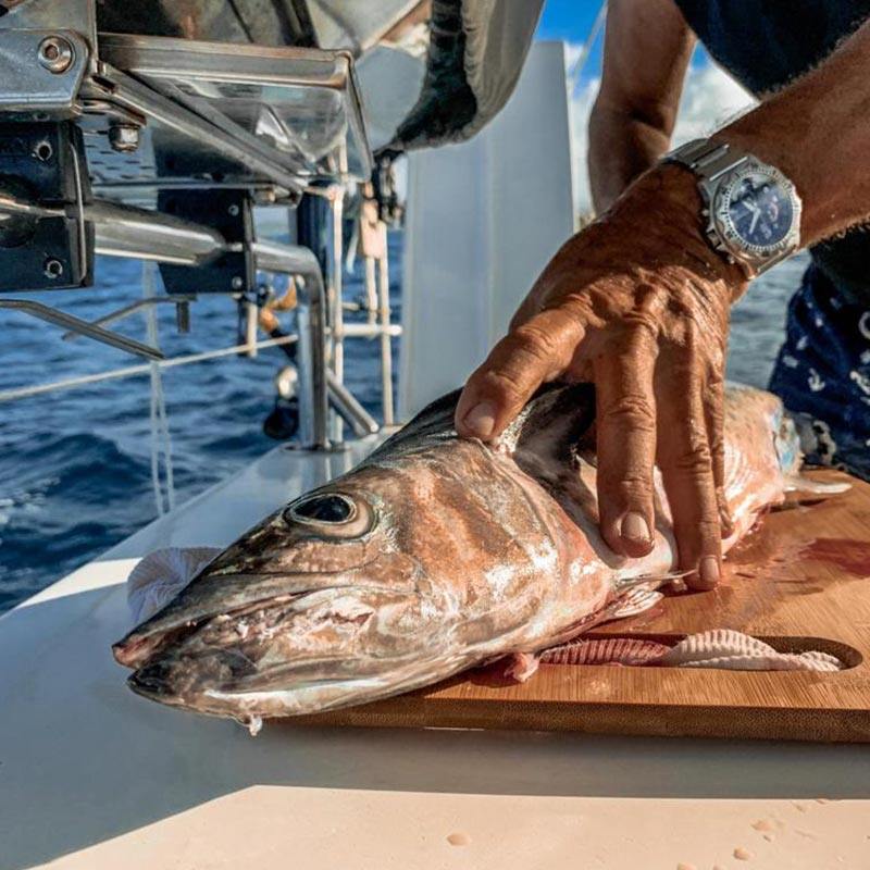 Dufour 50Ft 2021 en San Blas Islands