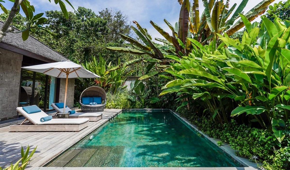 Nirjhara en su destino