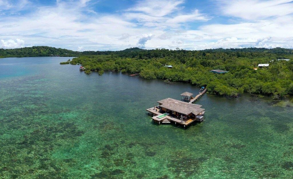 Bocas Coral Reef en su destino