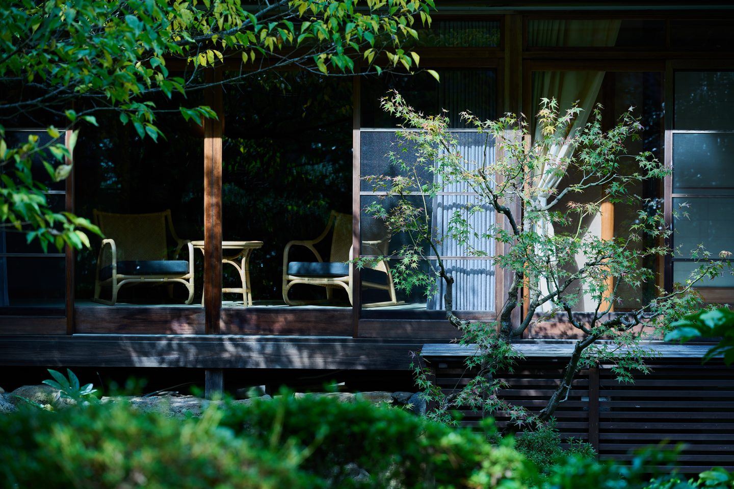 Mikiya en su destino