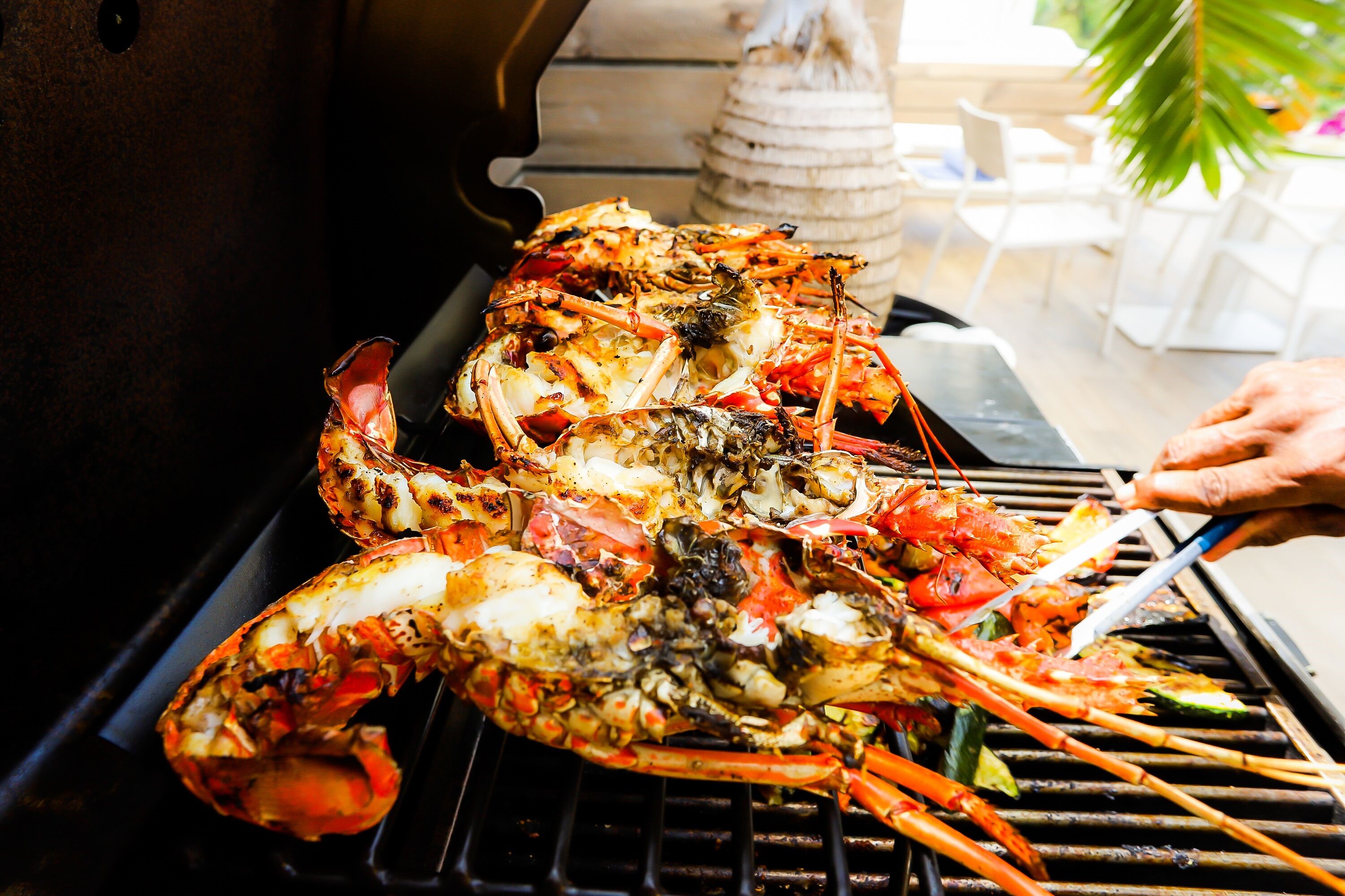Apartamento de Lujo en la Playa en su destino