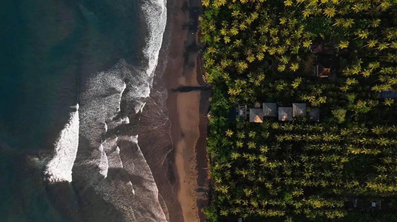 Lost Lindenberg en Canggu
