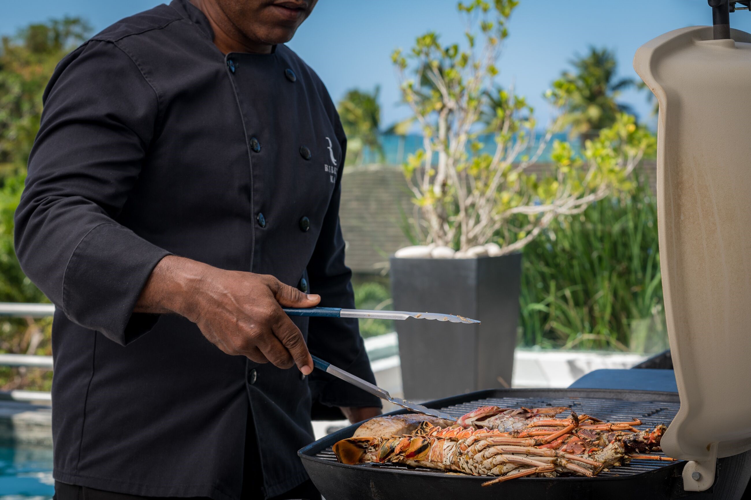 Ático Playa Ballenas en Las Terrenas
