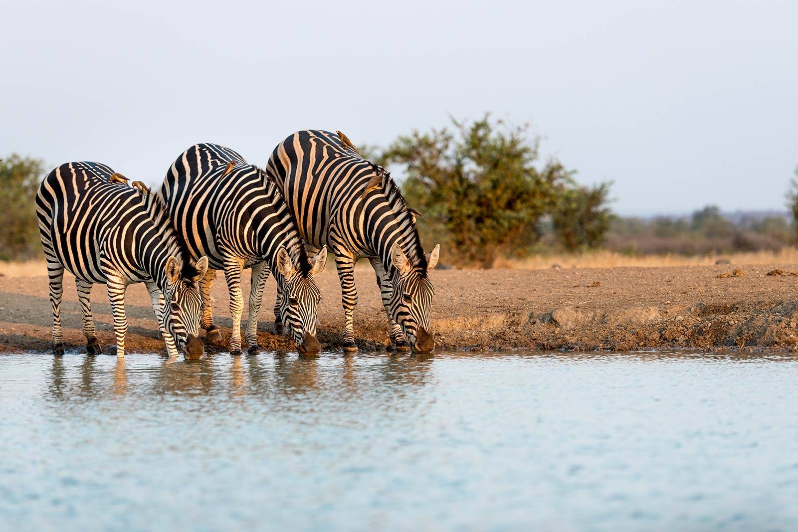 Gonarezhou National Park