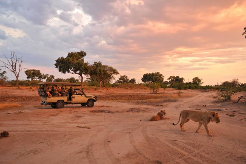 Gonarezhou National Park | LAT.40
