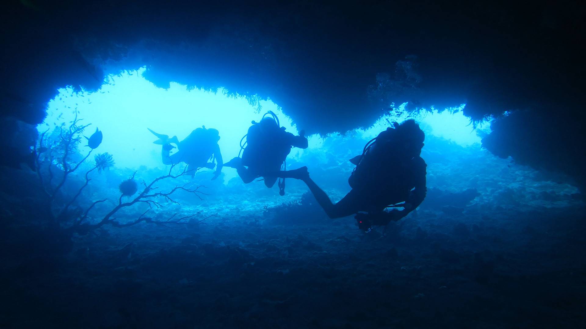 Experiencia de Buceo en Barco