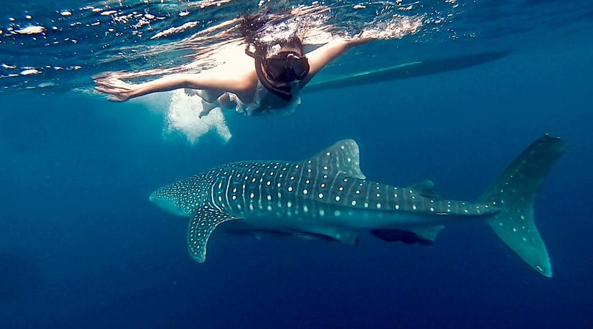 Arasatu Villas And Sanuary en Indonesia