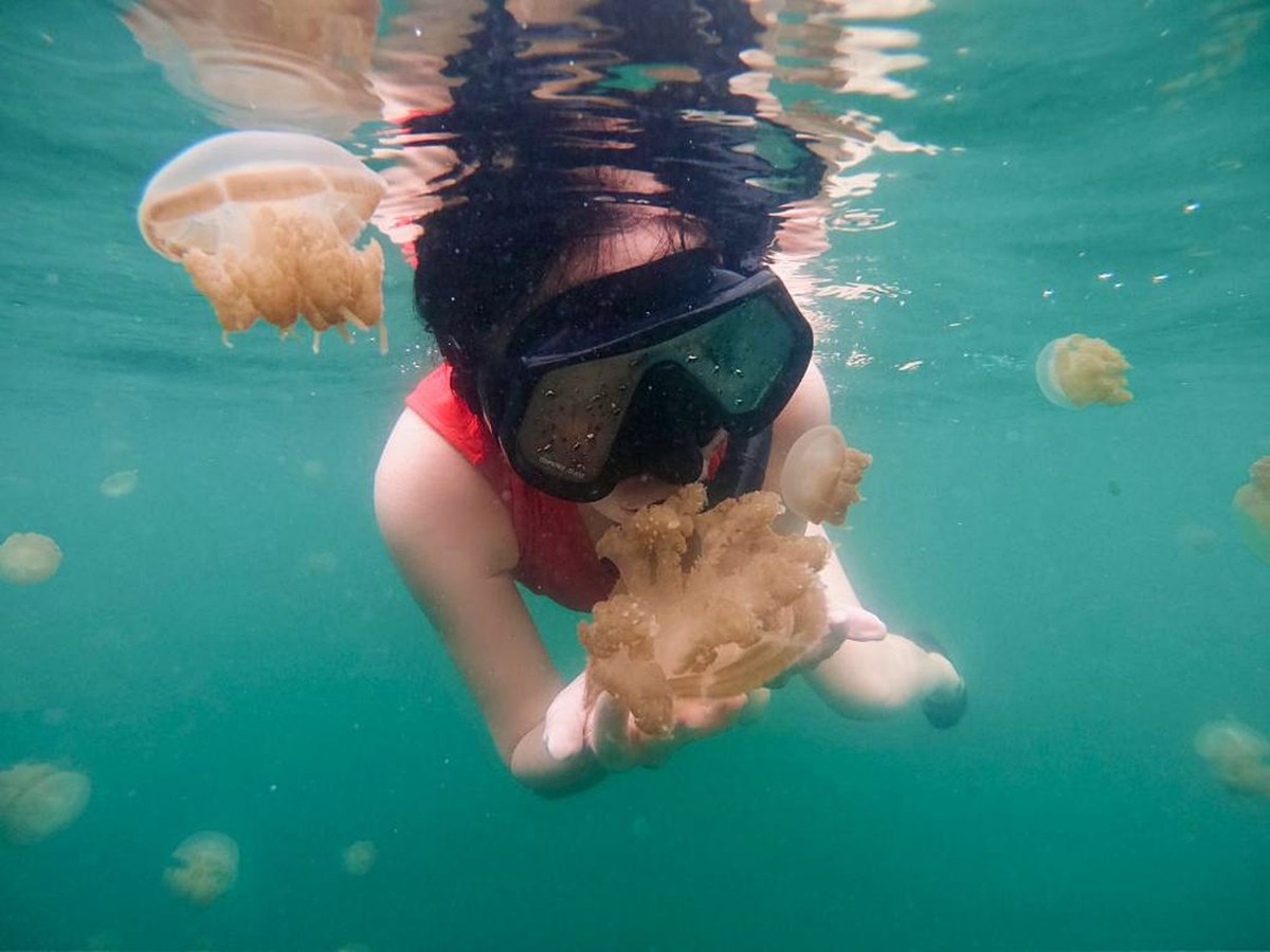 Arasatu Villas And Sanuary en Indonesia