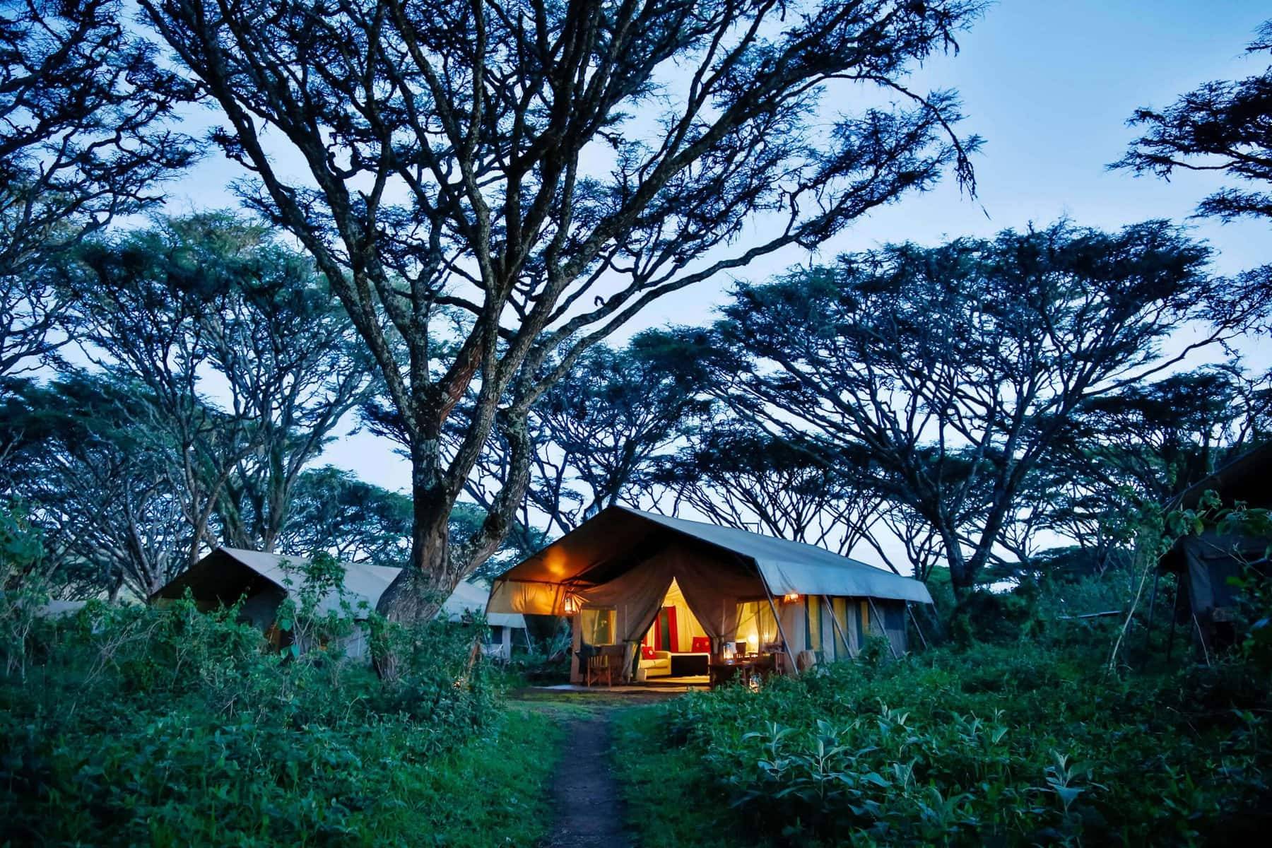 Lemala Ngorongoro Tented Camp 