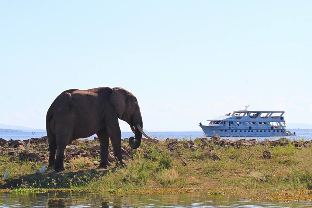 Crucero Safari 