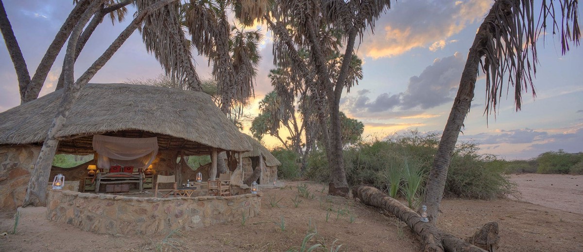 Saruni Rhino en su destino