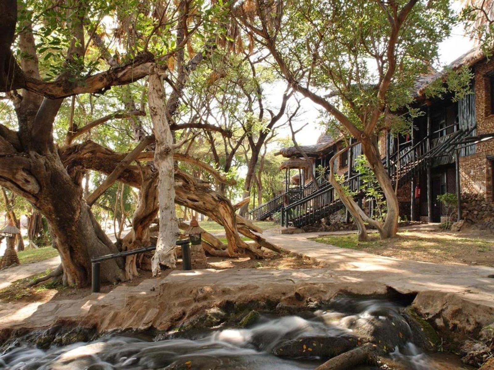 Sarova Shaba Game Lodge