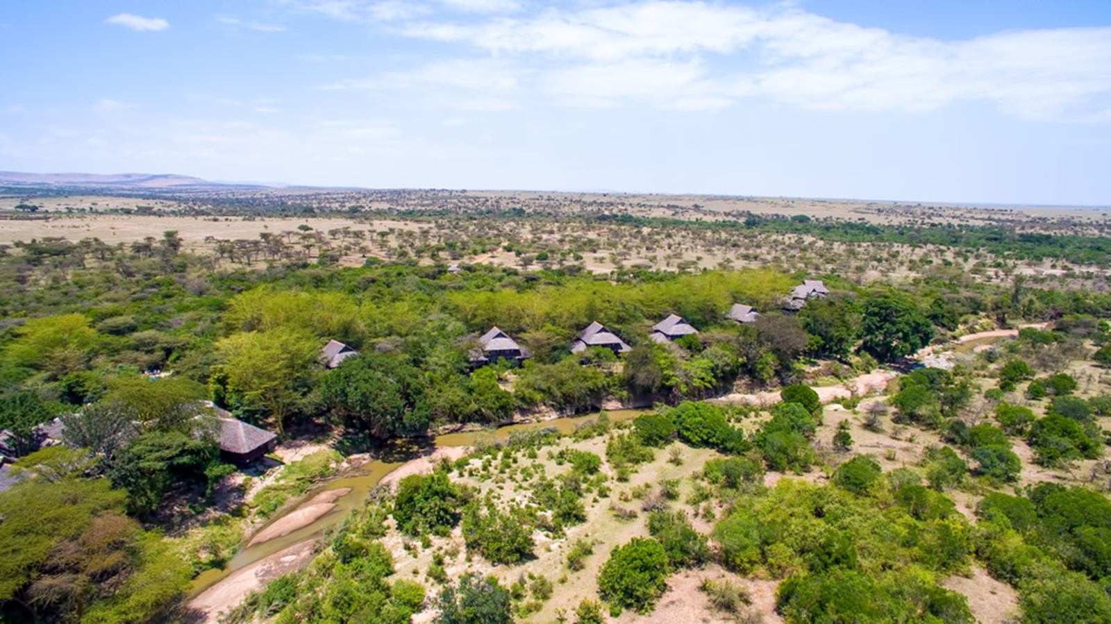 Samburu Simba Lodge