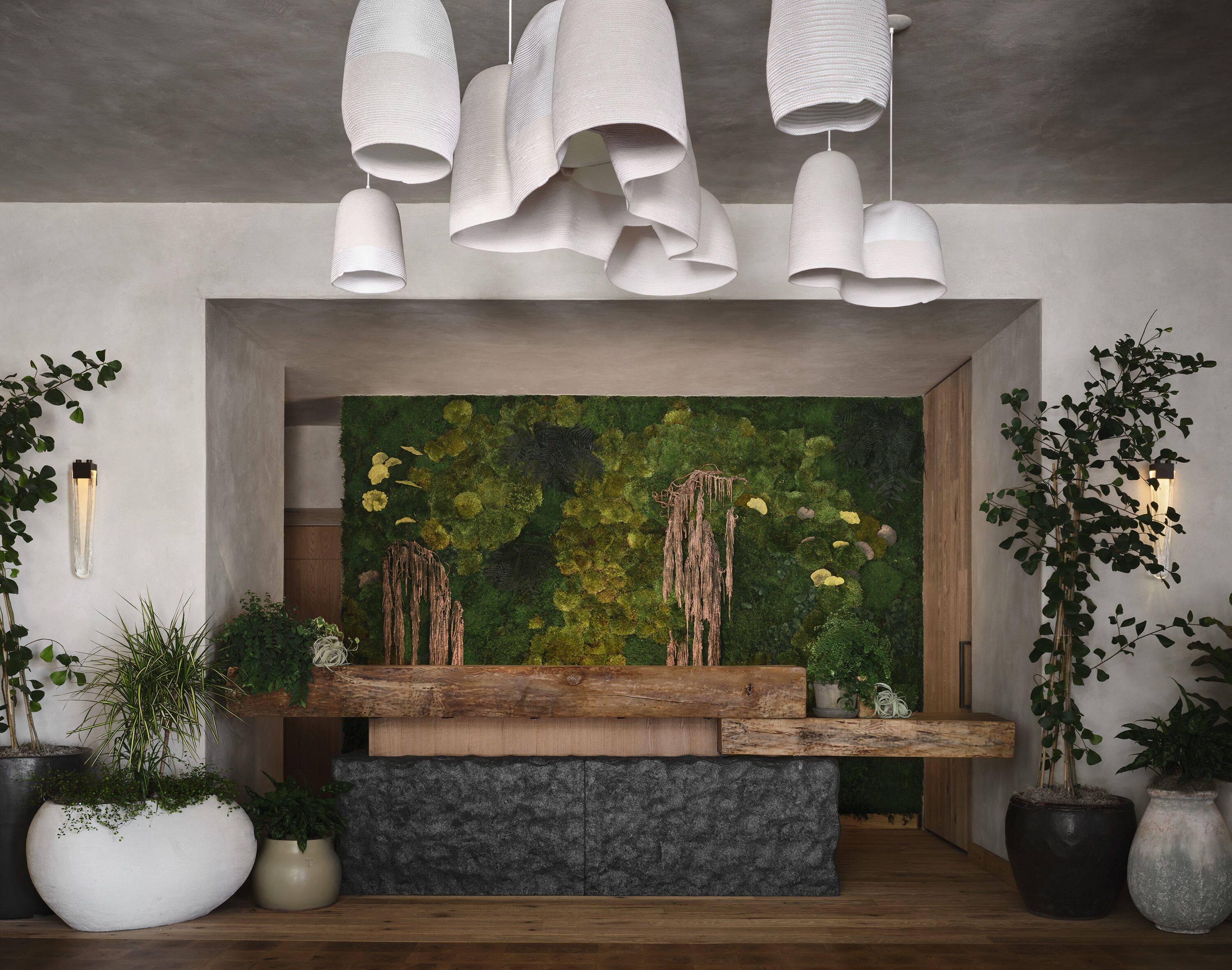  1 Hotel San Francisco