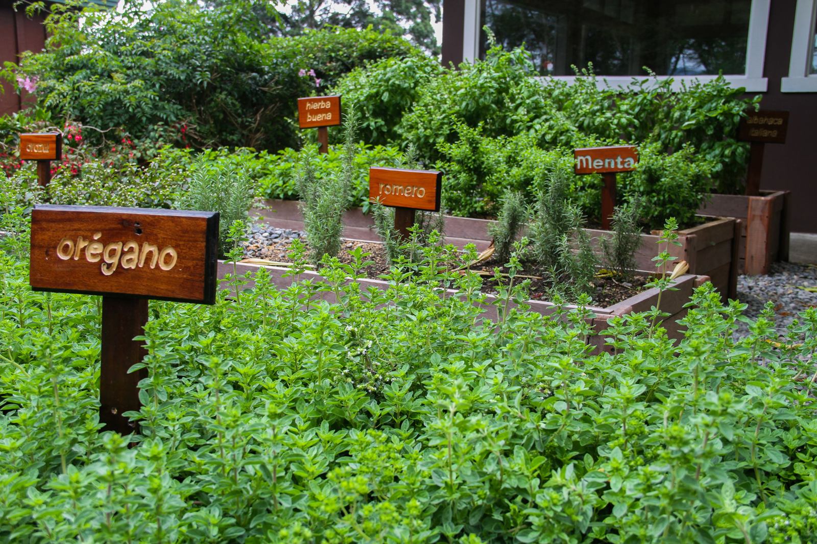 Hotel Finca Lerida en Boquete