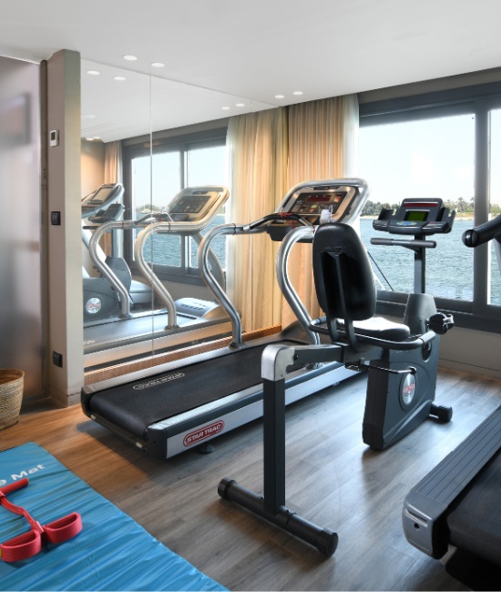 Historia Nile Cruise en Aswan