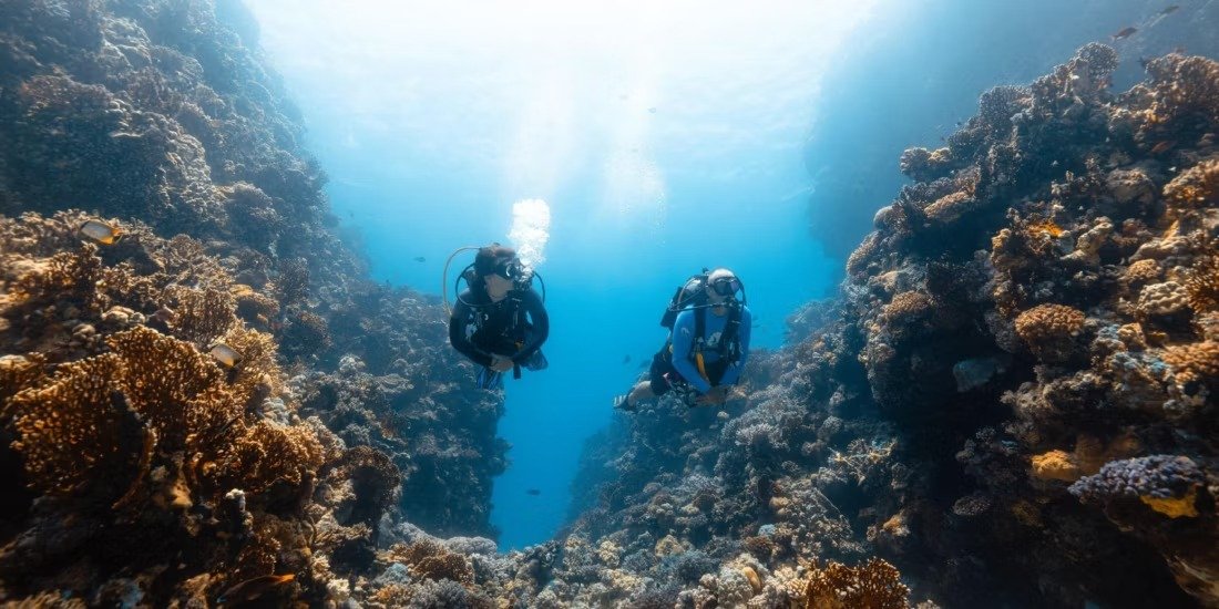 Intercontinental Red Sea en mar rojo