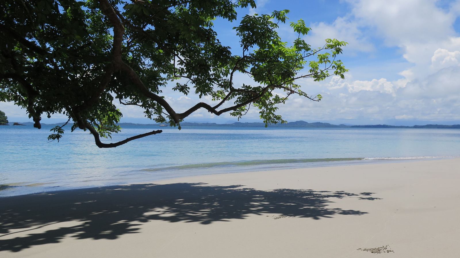 Seagull Cove Resort en Islas Secas