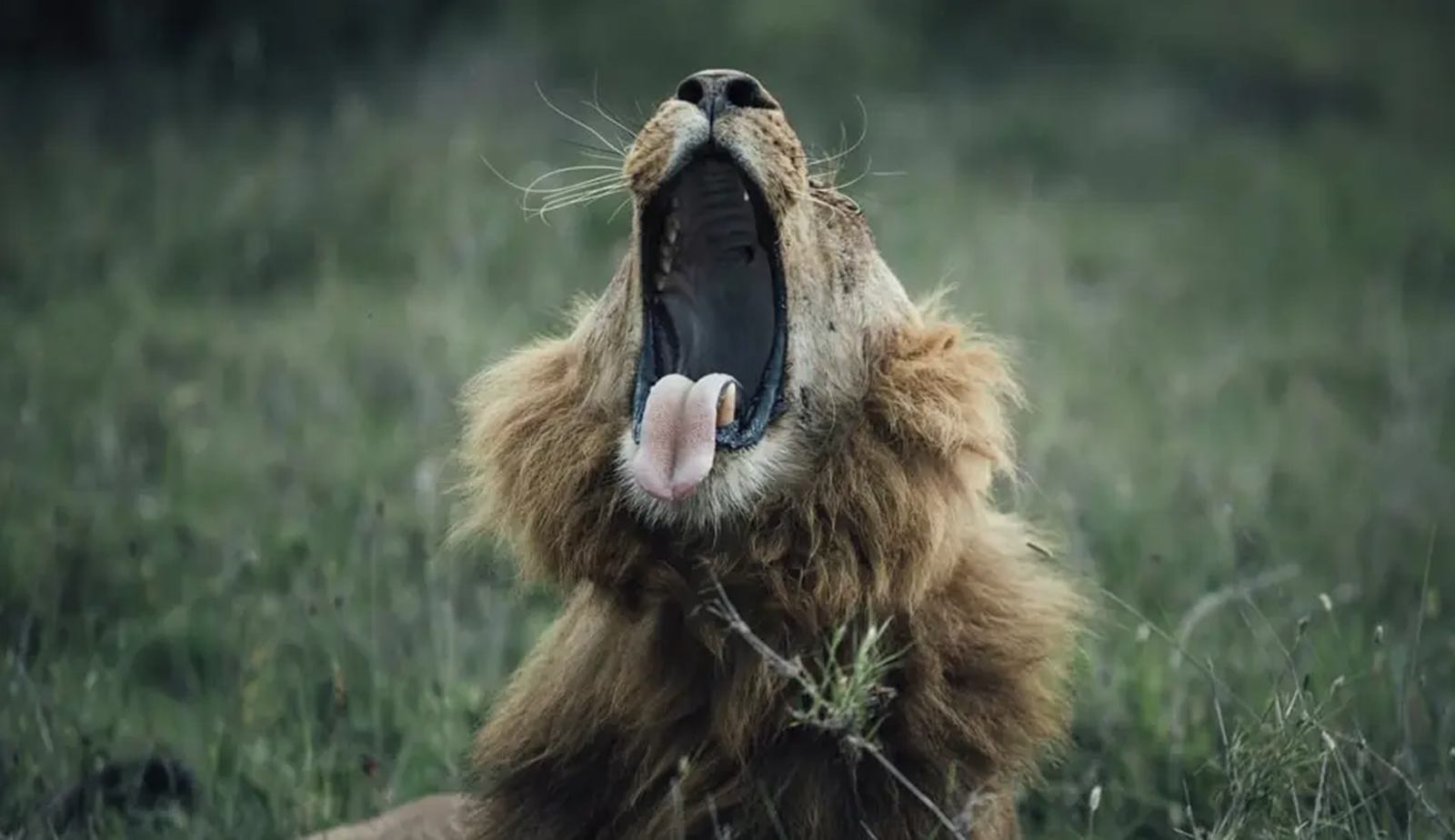  The Emakoko en Nairobi