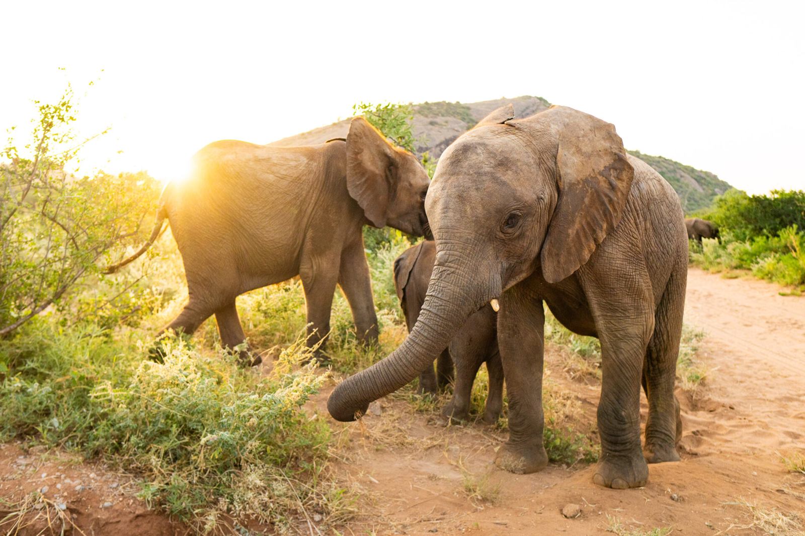 Reteti House en Namunyak Wildlife Conservancy