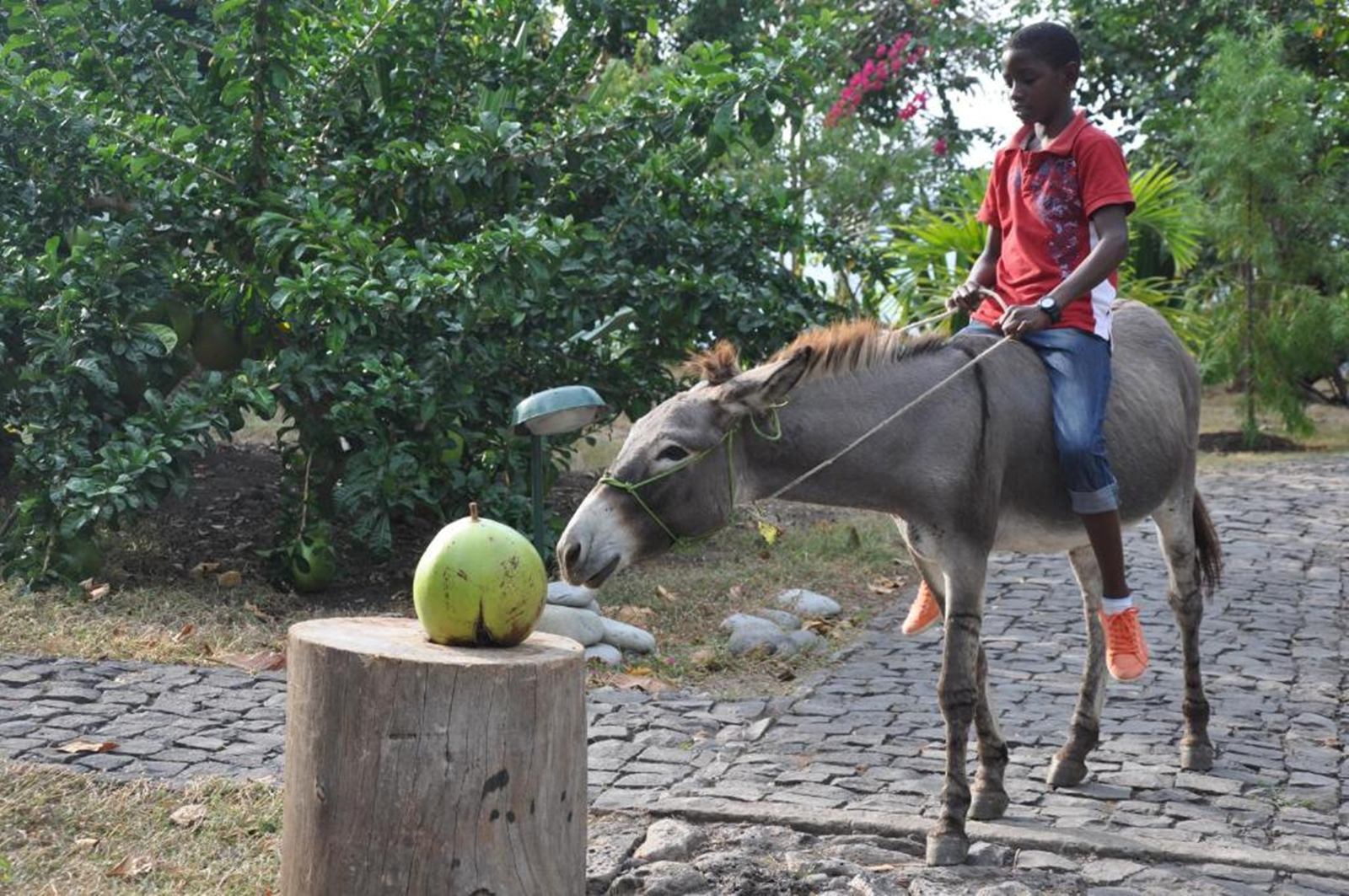 Mucumbli en Santo Tome